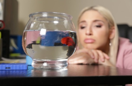 Blonde beauty Abella Danger gives fellatio before getting rammed hard